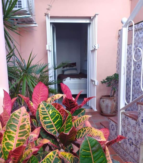 Amazing 3 Bedroom Townhouse Close To Burriana, נרחה מראה חיצוני תמונה